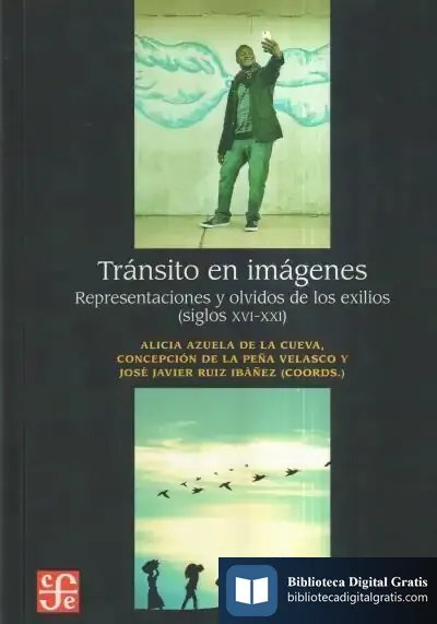 Descargar Tránsito En Imágenes. Representaciones Y Olvidos de John Irving