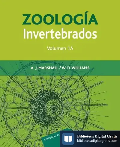 Descargar Zoología. Invertebrados. Vol. 1A de Alan John Marshall