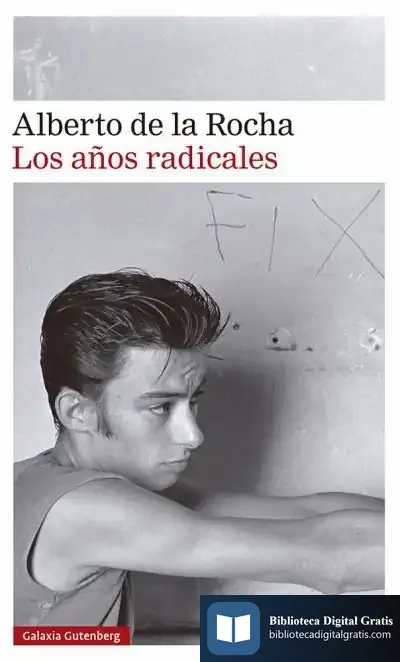 Descargar Los Años Radicales