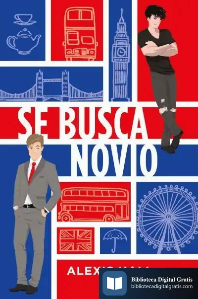 Descargar Se Busca Novio de Alexis Hall