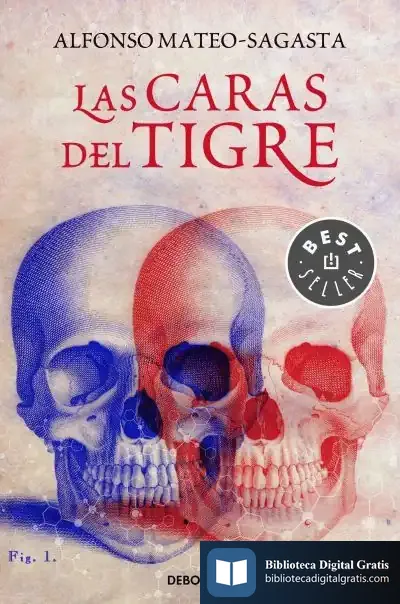 Descargar Las Caras Del Tigre de Alfonso Mateo-sagasta