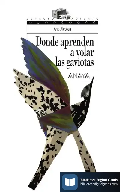 Descargar Donde Aprenden A Volar Las Gaviotas