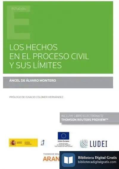 Descargar Hechos En El Proceso Civil Y Sus Límites de Ángel de Álvaro Montero