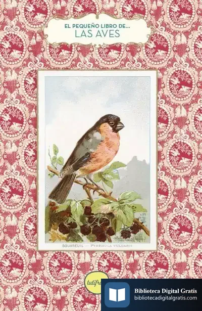 Descargar El Pequeño Libro De Las Aves