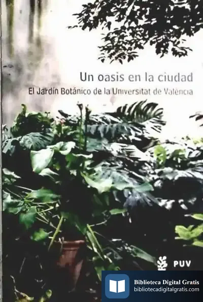 Descargar Un Oasis En La Ciudad