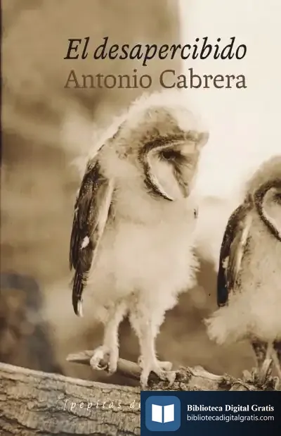 Descargar El Desapercibido de Antonio Cabrera