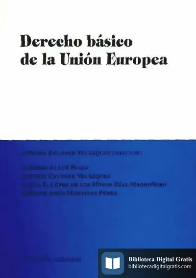 Descargar Derecho Básico De La Unión Europea