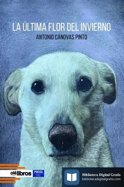 Descargar La Última Flor Del Invierno
