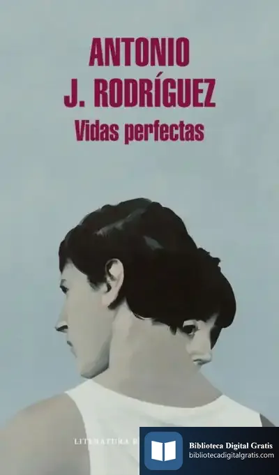 Descargar Vidas Perfectas
