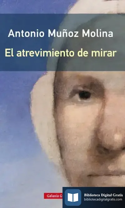 Descargar El Atrevimiento De Mirar- Rústega