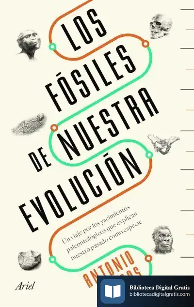 Descargar Los Fósiles De Nuestra Evolución