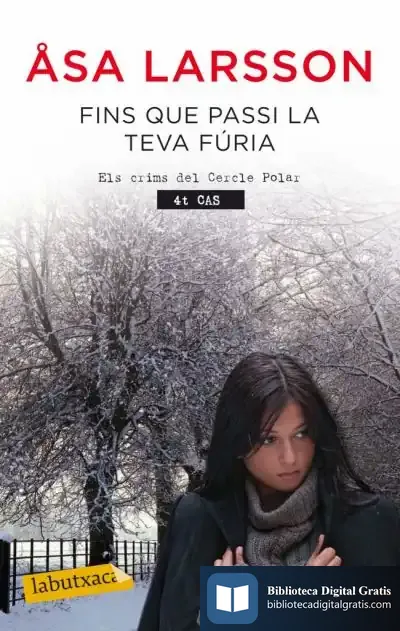 Descargar Fins Que Passi La Teva de Äsa Larsson