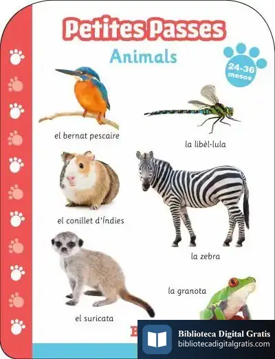 Descargar Petites Passes - Animals 24-36 Mesos