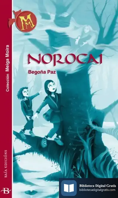 Descargar Norocai de Begoña Paz Rey