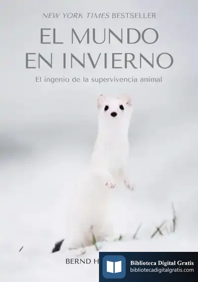 Descargar El Mundo En Invierno