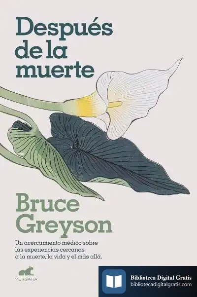 Descargar Después De La Muerte