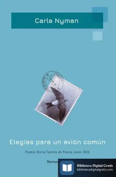 Descargar Elegías Para Un Avión Común de Carla M. Nyman