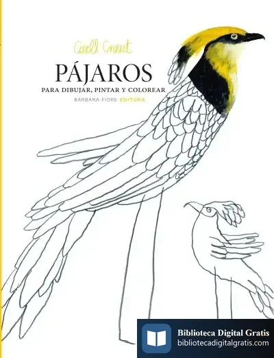 Descargar Pájaros Para Dibujar, Pintar Y Colorear