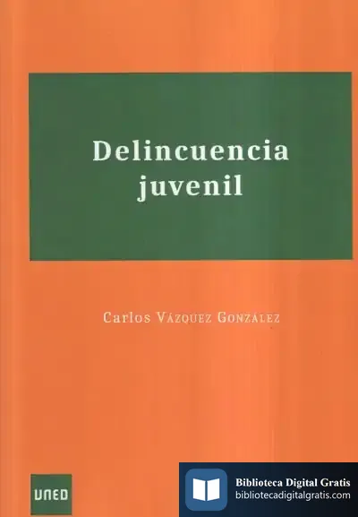 Descargar Delincuencia Juvenil de Carlos Vázquez González