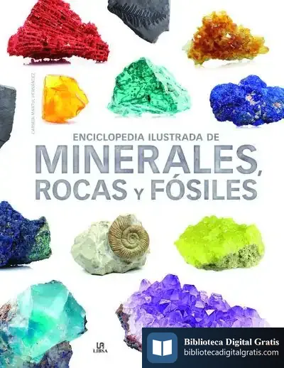 Descargar Enciclopedia Ilustrada De Minerales, Rocas Y Fósiles