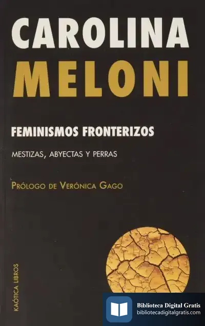 Descargar Feminismos Fronterizos de Carolina Meloni
