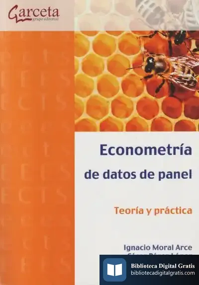 Descargar Econometria De Datos De Panel. Teoria Y Practica de César Pérez López