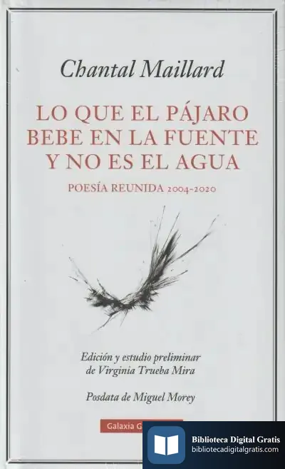 Descargar Lo Que El Pájaro Bebe En La Fuente Y No Es El Agua
