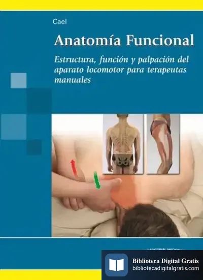 Descargar Anatomía Funcional. Estructura, Función Y Palpación Para Terapeutas Manuales de Christy Cael