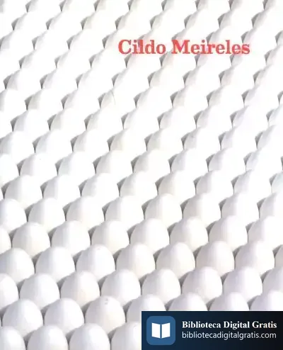 Descargar Cildo Meireles