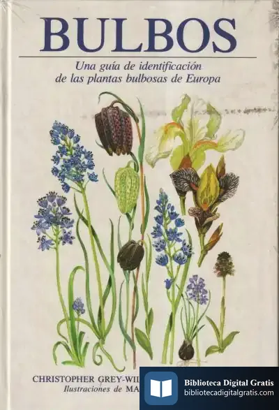 Descargar Bulbos de Isabel Morales Trillo