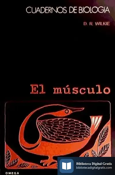 Descargar 17. El Musculo