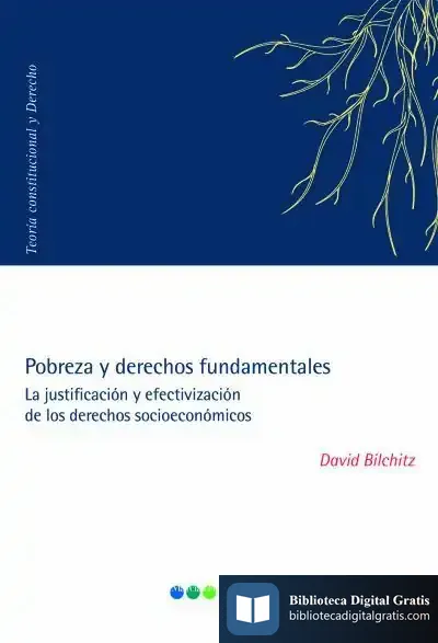 Descargar Pobreza Y Derechos Fundamentales de David Bilchitz