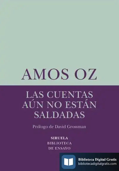 Descargar Las Cuentas Aún No Están Saldadas de David Grossman
