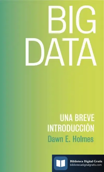Descargar Big Data de Dawn E. Holmes