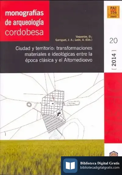 Descargar Ciudad Y Territorio de Desiderio Vaquerizo Gil