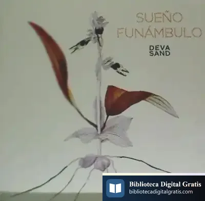 Descargar Deva Sand: Sueño Funámbulo de Deva Sand