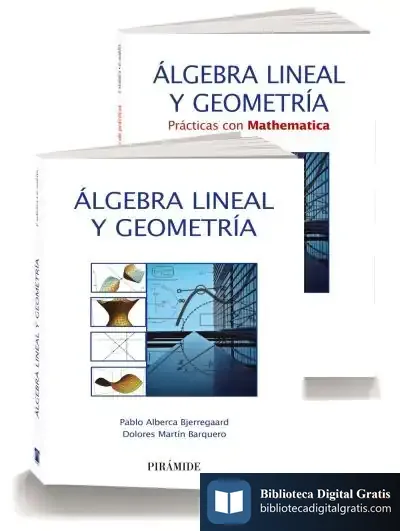 Descargar Pack-Álgebra Lineal Y Geometría de Dolores Martín Barquero