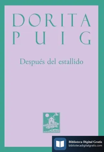 Descargar Despues Del Estallido de Dorita Puig