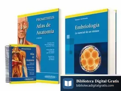 Descargar Pack: Gilroy + Webster + Fichas