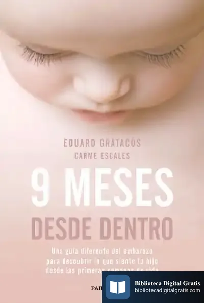 Descargar 9 Meses Desde Dentro