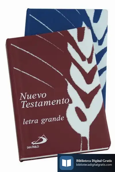 Descargar Nuevo Testamento. L. Grande. Plastico