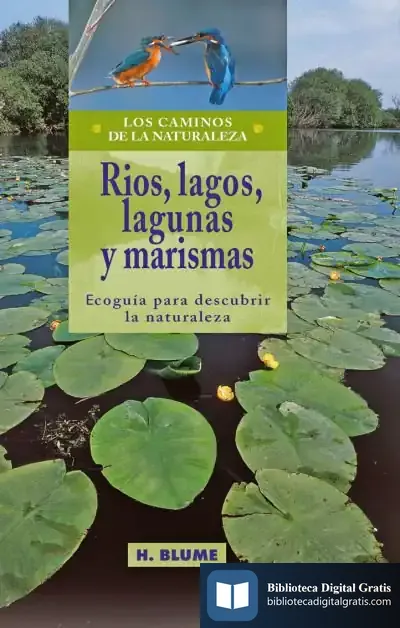 Descargar Ríos, Lagos, Lagunas Y Marismas