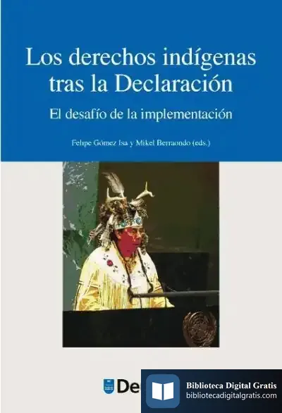 Descargar Los Derechos Indígenas Tras La Declaración