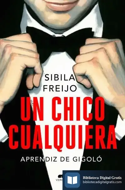 Descargar Un Chico Cualquiera de Fernando Vicente