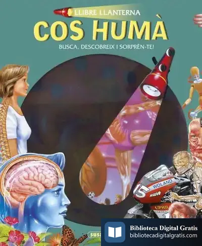 Descargar Llibre Llanterna. Cos Humà de Francisca Valiente García