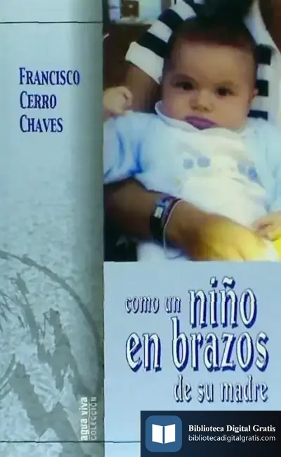 Descargar Como Un Niño En Brazos De Su Madre de Victoria Kent