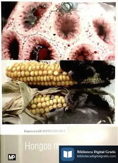 Descargar Hongos Medicinales