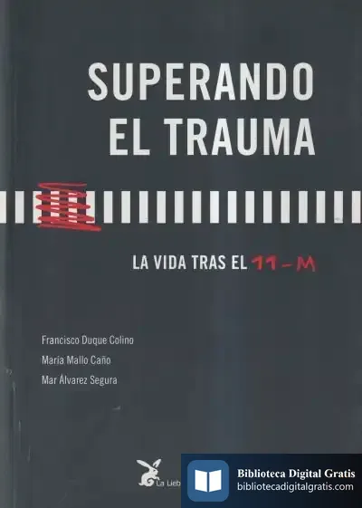 Descargar Superando El Trauma de Romana Petri