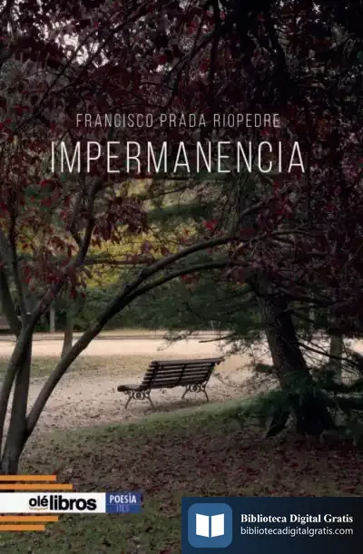 Descargar Impermanencia