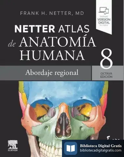 Descargar Netter. Atlas De Anatomía Humana. Abordaje Regional de Frank H. Netter